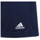 Adidas Ανδρικό σορτς Entrada 22 Shorts